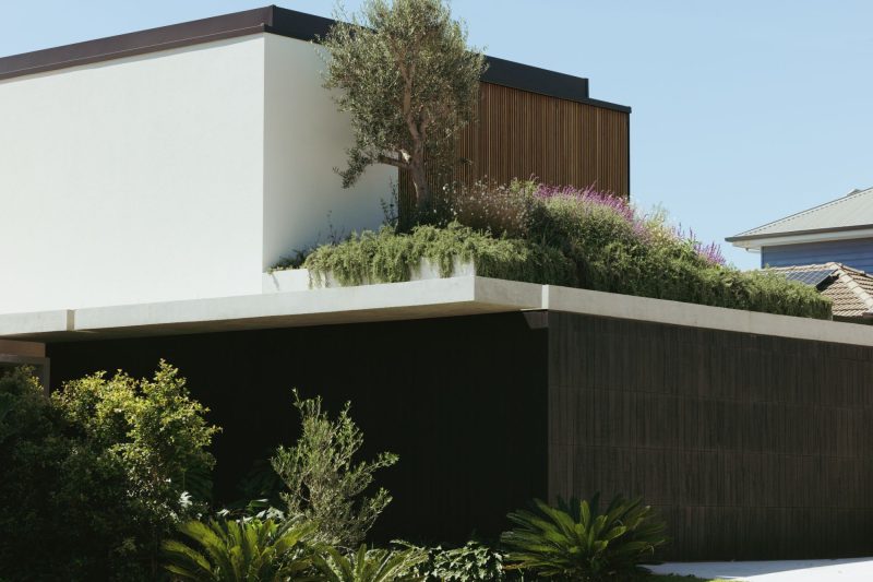 Little Birch, an exquisitely detailed modern home by Buck&Simple, showcasing high-end coastal architecture and interior design on a complex Sydney site.