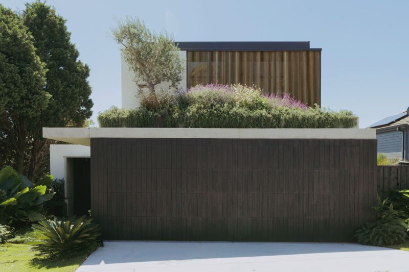 Little Birch, an exquisitely detailed modern home by Buck&Simple, showcasing high-end coastal architecture and interior design on a complex Sydney site.