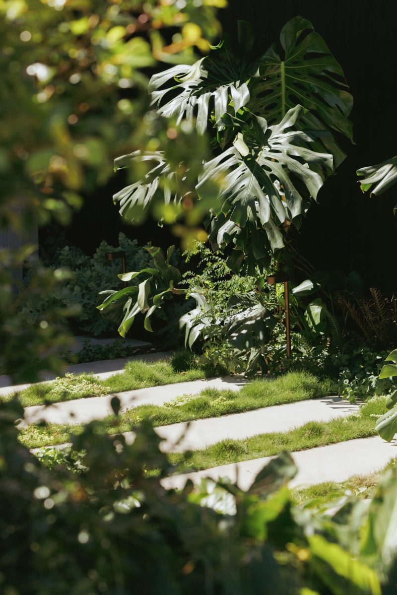 Little Birch, an exquisitely detailed modern home by Buck&Simple, showcasing high-end coastal architecture and interior design on a complex Sydney site.