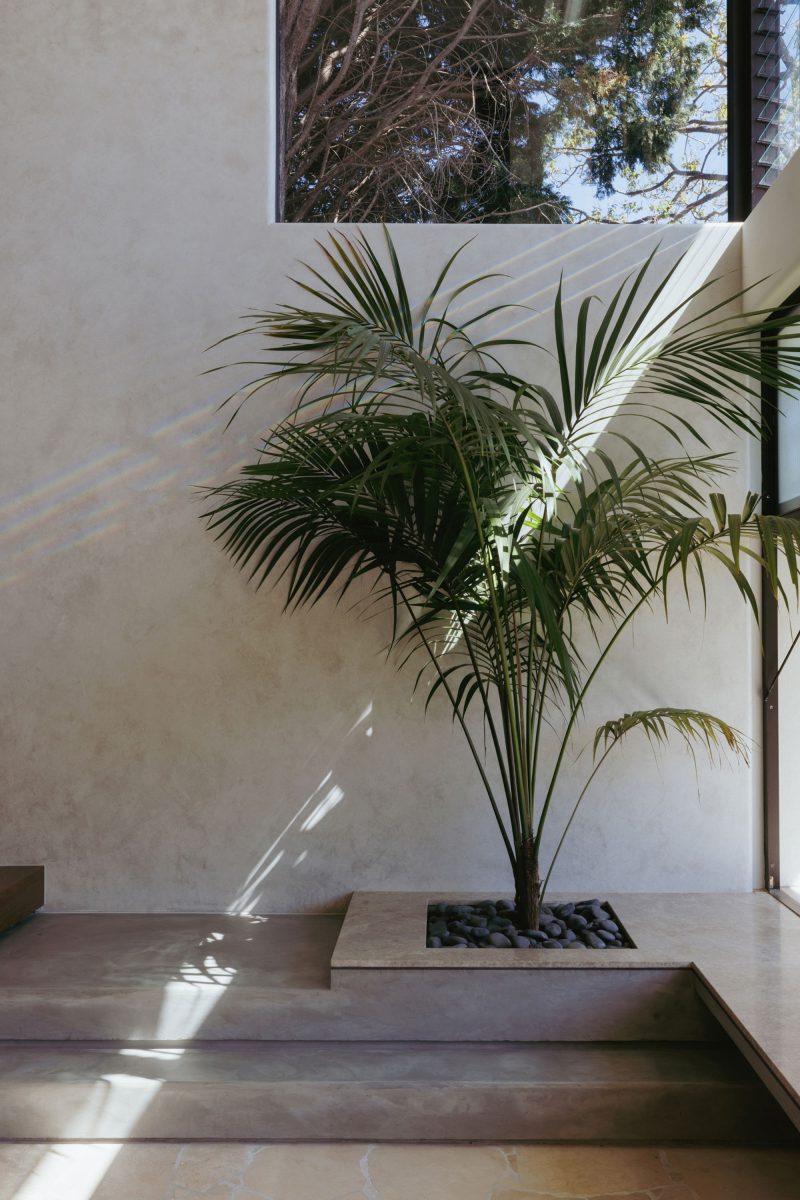 Little Birch, an exquisitely detailed modern home by Buck&Simple, showcasing high-end coastal architecture and interior design on a complex Sydney site.