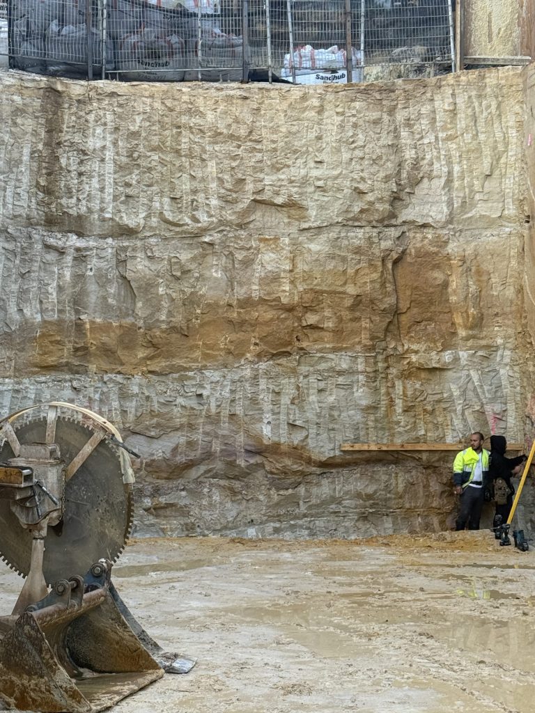Sloping SIte Coastal Architecture in the Northern Beaches by buck&simple