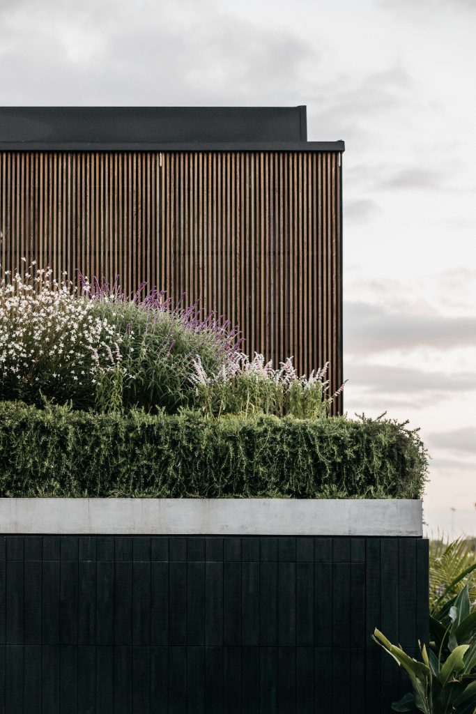 little birch coastal architecture by buckandsimple